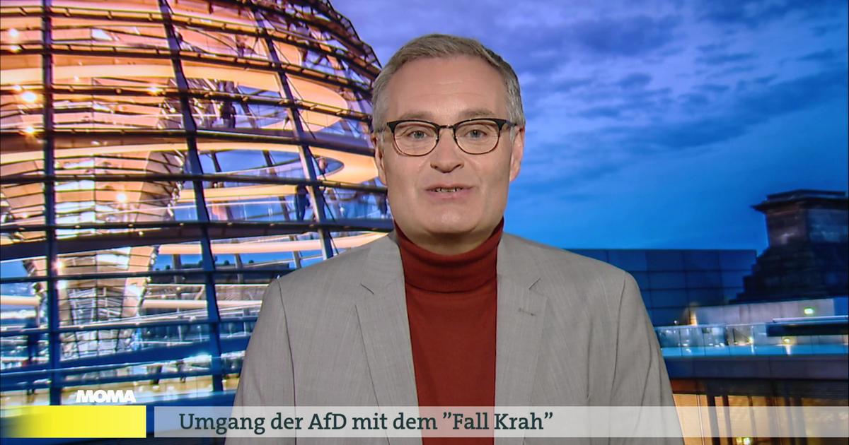 Strempel Zu Krah Morgenmagazin ARD Das Erste