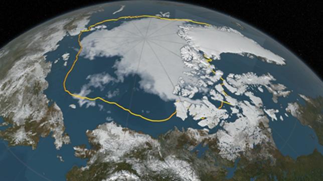 Rotalgen Als Klimaarchiv - W Wie Wissen - ARD | Das Erste