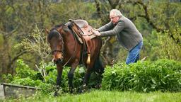 Barthl (Friedrich von Thun) versucht, das Pferd aus seinem Gemüsebeet zu bewegen.