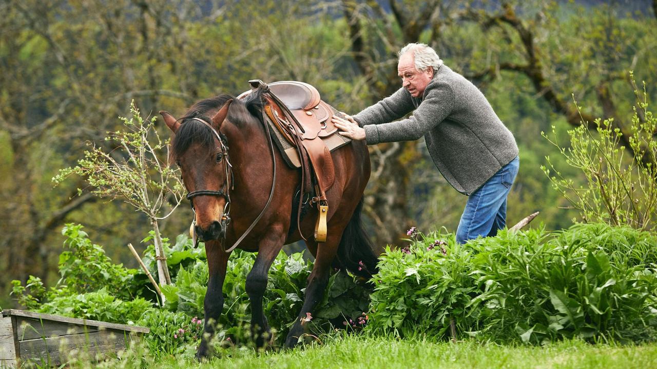 Barthl (Friedrich von Thun) versucht, das Pferd aus seinem Gemüsebeet zu bewegen.