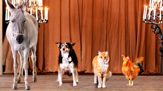 Esel, Hund, Katze und Hahn als "Bremer Stadtmusikanten" aus dem gleichnamigen Märchen der Gebrüder Grimm