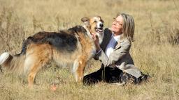 Für Beth (Diane Keaton) wird ihr Hund Freeway zu einem treuen und ständigen Begleiter.