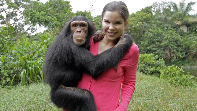 Anna und die wilden Tiere Schlau wie die Schimpansen Folge: 18 07.05.2016