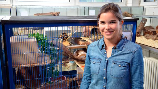 Degus brauchen viel Platz. In diesem Käfig - hier im Tierheim München - können höchstens drei Tiere leben. 