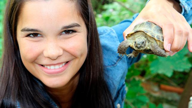 Die kleine Landschildkröte fühlt sich wohl in Annas Hand.