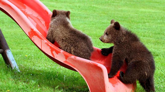 Ein Spielplatz ist nicht nur für Kinder ein Abenteuer.