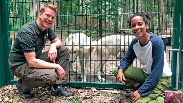 Pia und Frank Faß, Leiter des Wolfcenters Dörverden, vor dem Wolfsgehege. Frank hat die Geschwisterwölfe Cosmo und Luna von Hand aufgezogen. Weiteres Bildmaterial finden Sie unter www.br-foto.de.