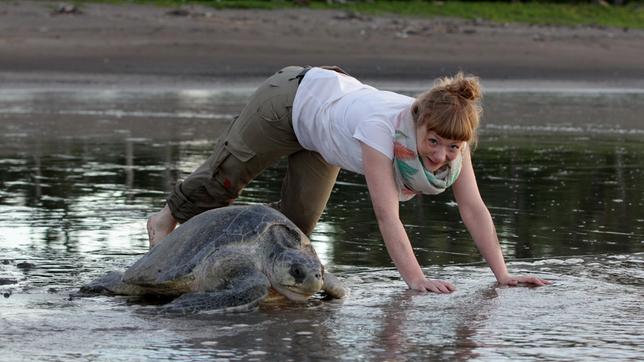 Paula und die wilden Tiere Wie Schildkröten Eier legen 21.06.2014