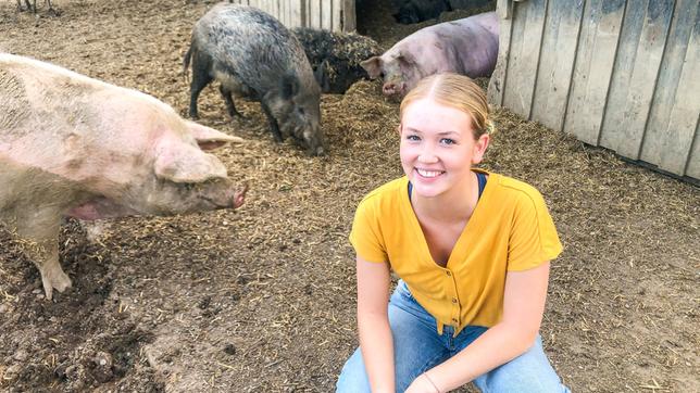 Wildschweine und Hausschweine dürfen auf Gut Streiflach alt werden.