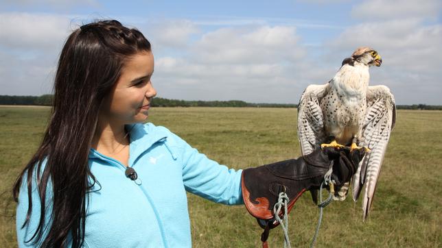 Anna und die wilden Tiere Die Falken des Falkners: Anna hält einen Falken