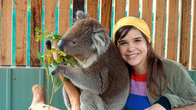 Koalas haben ein ganz weiches Fell. Weiteres Bildmaterial finden Sie unter www.br-foto.de