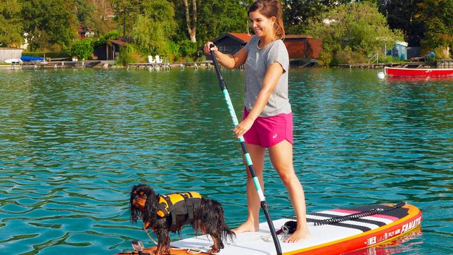 Mit Cavalier King Charles Spaniels kann man prima SUP Board fahren. Weiteres Bildmaterial finden Sie unter www.br-foto.de.