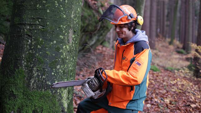 Checker Can Der Holz-Check  Checker Can mit einer Motorsäge. 