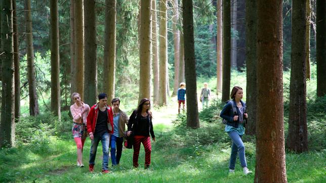 Im Wald: Pia (Laila Schuster) ist voller Hoffnung, dass die Zeitkuppel zerstört ist und bemerkt dabei nicht, dass sie mit Noah (Simon Eckert) den Anschluss der Gruppe verliert. Von links, vorne: Jennifer (Amelie Arndt), Tobias (Patrick Katzer), Raphael (Niklas Nißl), Anna (Annika Preil) und Yasemin (Devrim Lingnau). Weiteres Bildmaterial finden Sie unter www.br-foto.de.