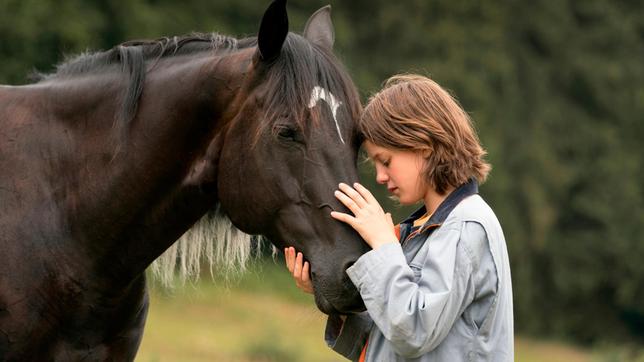 Hengst Ostwind ist traumatisiert und frisst nicht. Kann Ari (Luna Paiano) ihn retten?