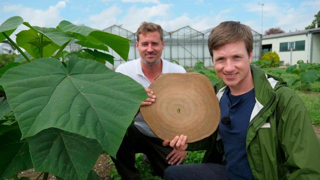 Johannes (r) mit dem Kirizüchter Peter Diessenbacher in Tönisvorst. Sie halten eine Holzscheibe des Superbaums in den Händen.