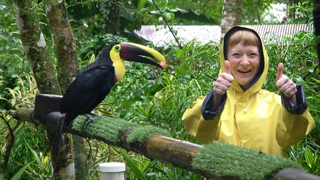 Paula und die wilden Tiere Die bunten Vögel Costa Ricas: Paula mit einem Fischertukan