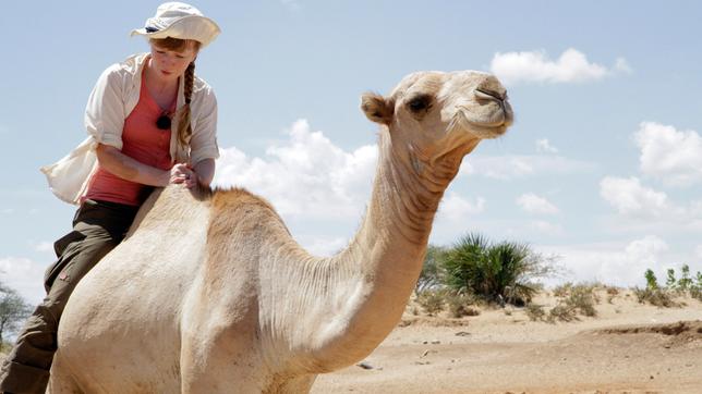 Paula und die wilden Tiere Ein Kamel zum Kuscheln Paula auf einem Kamel