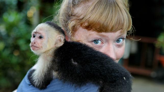 Paula und die wilden Tiere Wie brüllt der Brüllaffe?