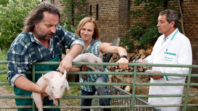 Bauer Stücken (Andreas Windhuis) und sein Sohn Thorben (David Halina) verladen Schweine für Metzger Beutelstahl (Michael Abendroth) auf einen Transporter.