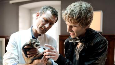Bertie (Silas Breiding), Praktikant von Tierarzt Dr. Hansen (Heikko Deutschmann), bringt ein Frettchen