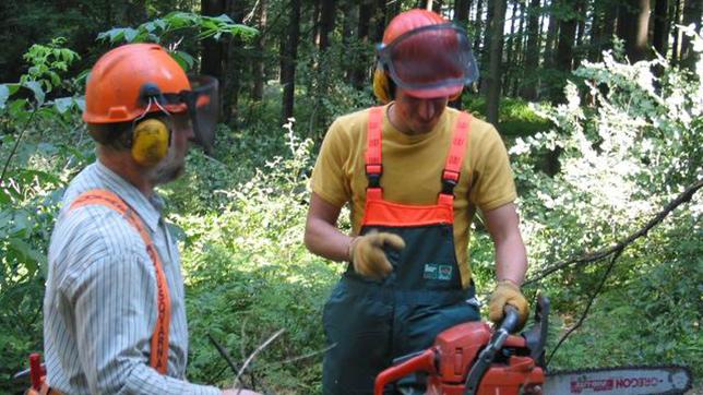 Willi Weitzel (rechts) bekommt die Grundlagen der Holzfällerei erklärt und darf helfen, eine Fichte zu fällen.