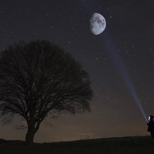 Der Mond und die Silhouette eines Baumes.
