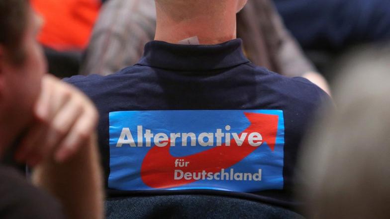 Video: Bericht Vom Parteitag Der AfD - ARD-Sondersendung - ARD | Das Erste