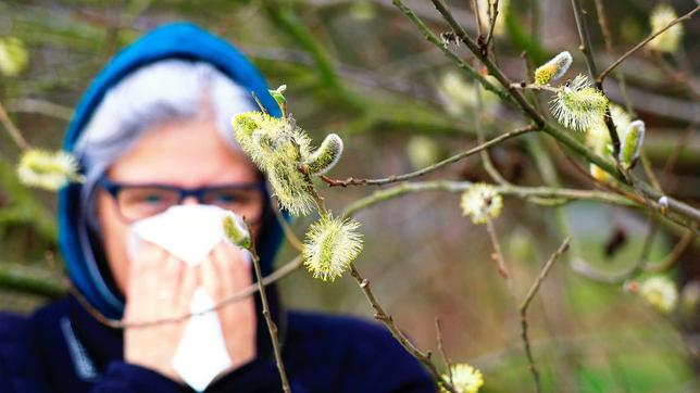 Pollen, Allergie, Symbolbild