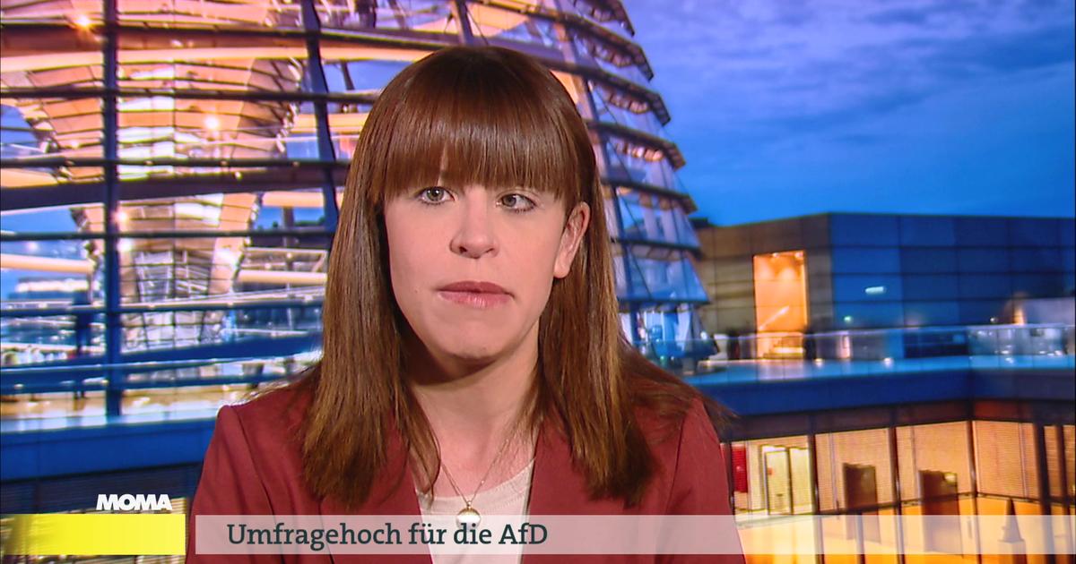 Video: Reuschenbach Zu AfD - Morgenmagazin - ARD | Das Erste