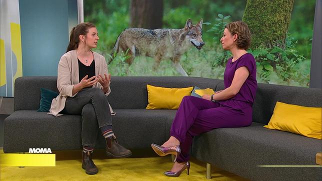 Katharina Stenglein, Wolfsexpertin, Bund für Umwelt- und Naturschutz (BUND)