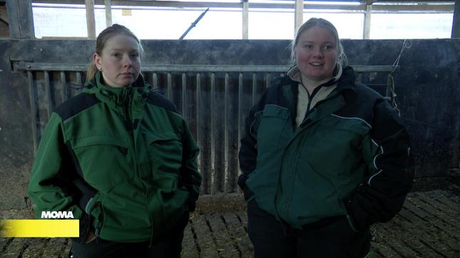 Marieke und Laura Allers, Landwirtinnen