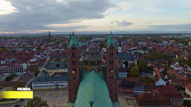 Wahlkreis 207 Neustadt/Speyer