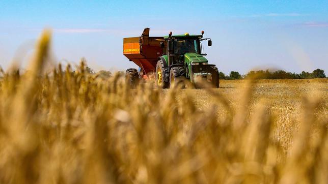 Export aus Ukraine: Getreideabkommen läuft aus