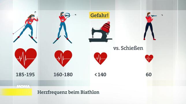 Sportschlau: Pulsfrequenz im Biathlon