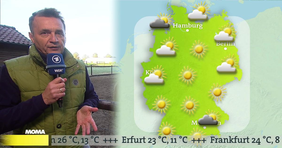 Video: Das Wetter - Morgenmagazin - ARD | Das Erste