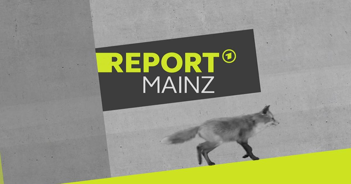 Video: REPORT MAINZ Vom 26. Juli 2022 - Report Mainz - ARD | Das Erste