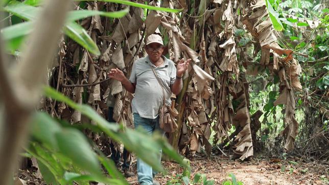 Landwirt Pedro Martins 