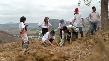 Kinder pflanzen Setzling ein 