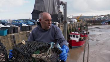 England: Austernfischer Graham West fürchtet um seine Existenz.