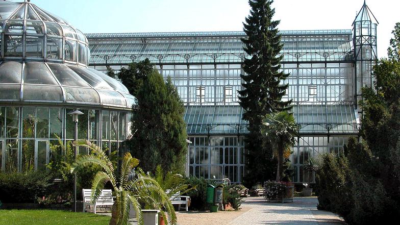 Botanischer Garten Berlin Ratgeber Haus + Garten ARD