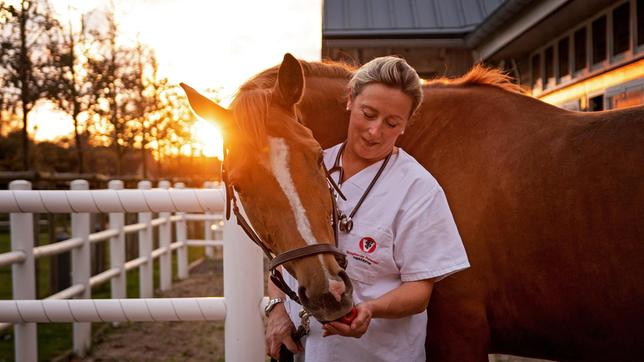 Bild: NDR/Doclights GmbH 2020/Sonja Rommerskirch Photographie Stephanie Petersen ist nicht nur leidenschaftliche Tierärztin – sie pflegt auch eine ganz besondere Liebe zu Trakehnern, der ältesten Reitpferderasse Deutschlands.