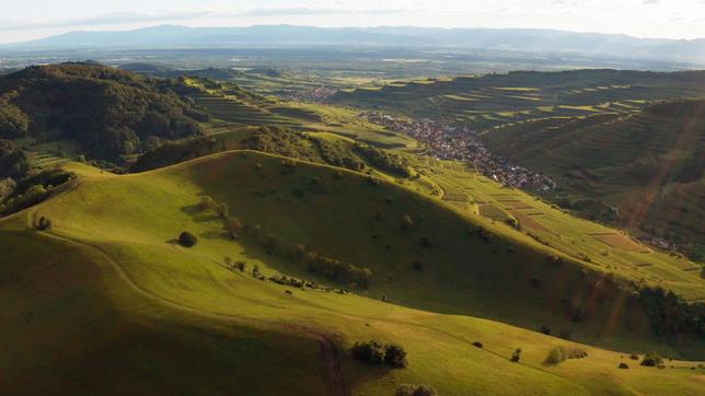 Der hufeisenförmige Hauptkamm des Kaiserstuhls öffnet sich nach Westen hin zum Elsass und zu den Vogesen.