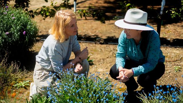 Die Forschung der US-Entomologin Dr. Bodil Cass fokussiert sich auf den Schutz der Insektenvielfalt in der Landwirtschaft.