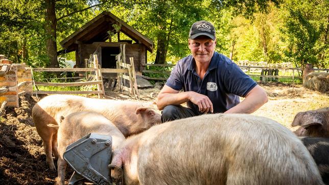 Spreewaldbauer Kilka bei der Schweinefütterung