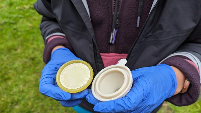 Die Forscherinnen der Universität Duisburg-Essen entnehmen DNA-Proben am Bach Bade im niedersächsischen Zeven.