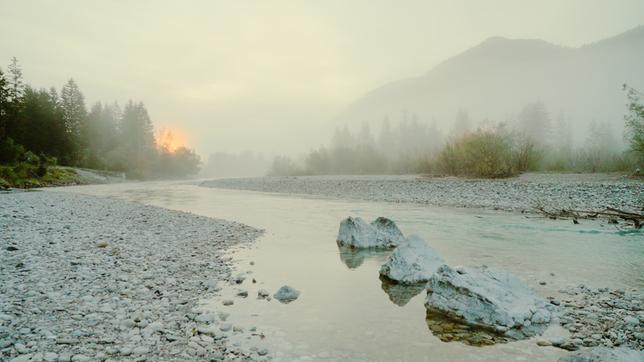 Nur wenige Flüsse fließen in Deutschland durch ein natürliches Flussbett wie hier die Isar. Nur wenige Flüsse fließen in Deutschland durch ein natürliches Flussbett wie hier die Isar. Nur wenige Flüsse fließen in Deutschland durch ein natürliches Flussbett wie hier die Isar. Nur wenige Flüsse fließen in Deutschland durch ein natürliches Flussbett wie hier die Isar. ARD Story „Unsere Flüsse – Wie retten wir Deutschlands Lebensadern?“ Nur wenige Flüsse fließen in Deutschland durch ein natürliches Flussbett wie hier die Isar. 