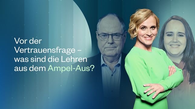 Vor der Vertrauensfrage – was sind die Lehren aus dem Ampel-Aus?