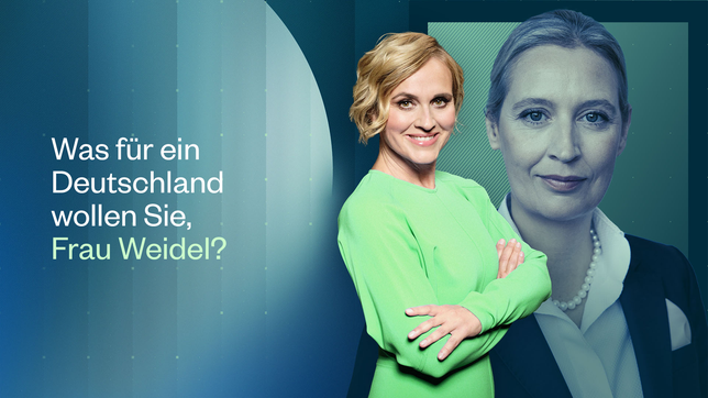 Was für ein Deutschland wollen Sie, Frau Weidel?