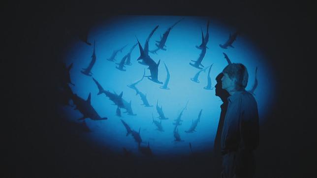 Der Autor Richard Powers steht vor einem Aquarium mit Fischen. Das Bild ist insgesamt Blau.